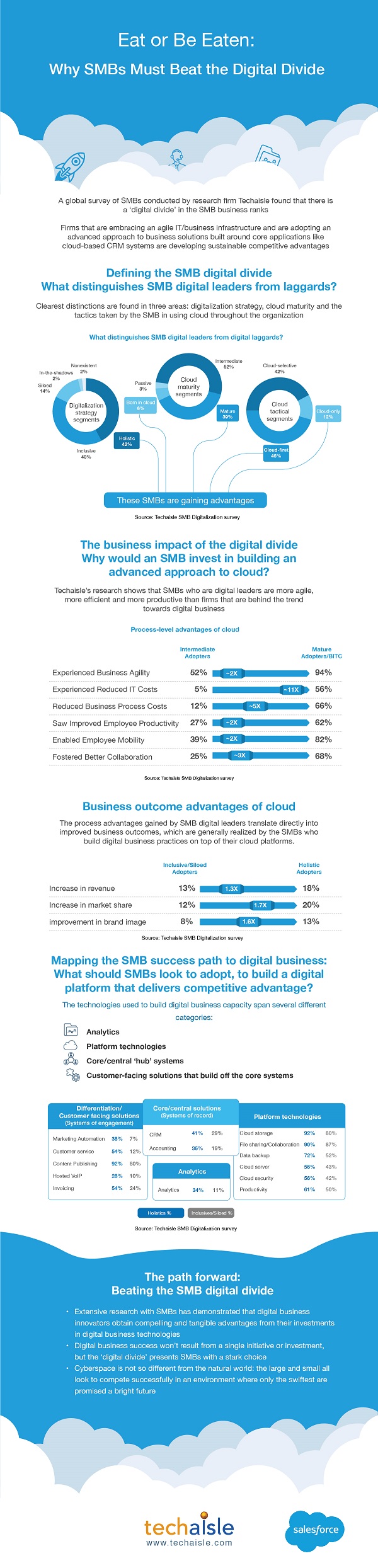 techaisle infographic smb digital divide salesforce low res